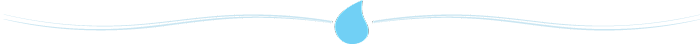 plumbing and drain professional company in sacramento, ca
